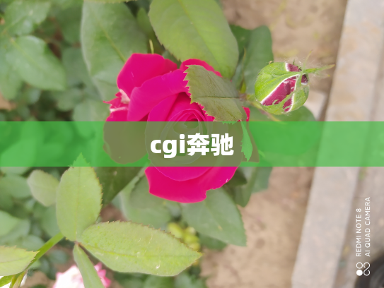 cgi奔驰