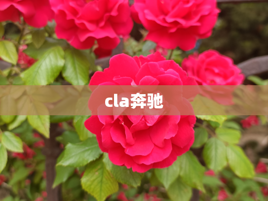 cla奔驰