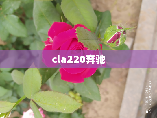 cla220奔驰