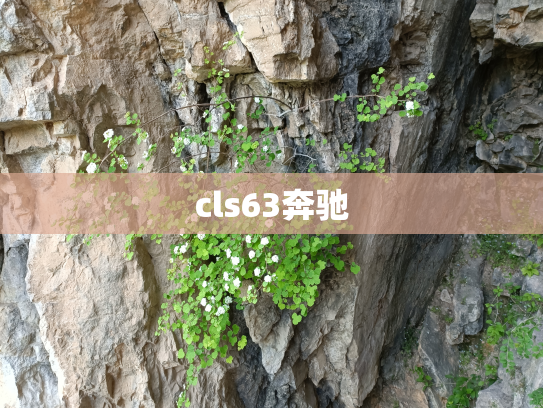 cls63奔驰