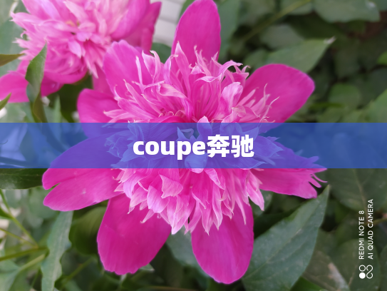 coupe奔驰