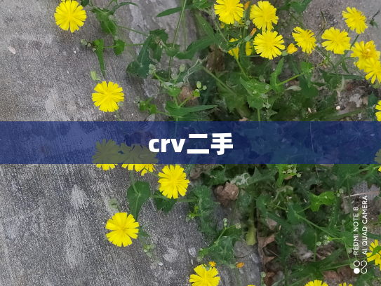 crv二手