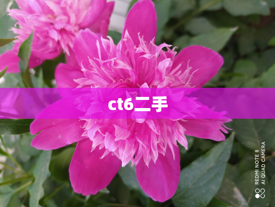 ct6二手