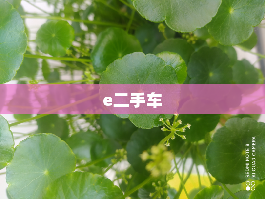 e二手车