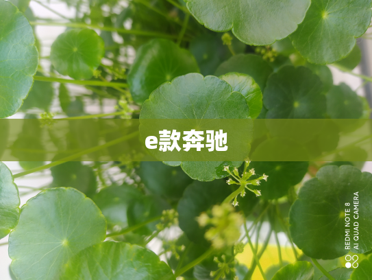 e款奔驰