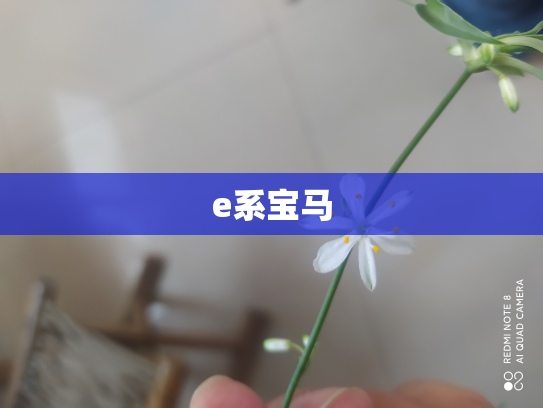 e系宝马