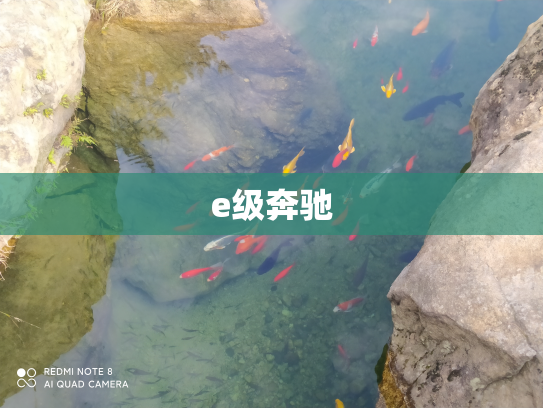 e级奔驰