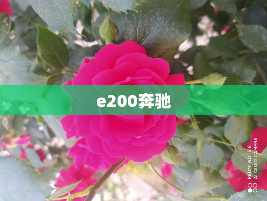 e200奔驰
