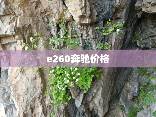 e260奔驰价格
