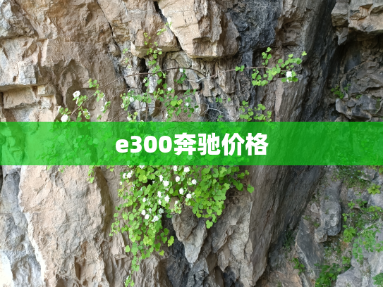 e300奔驰价格