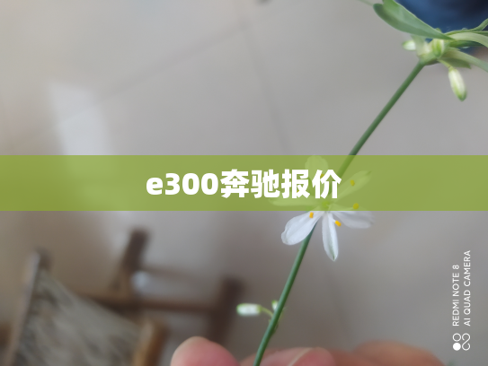 e300奔驰报价
