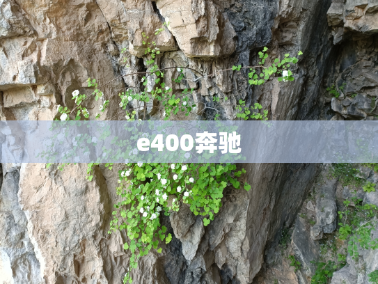 e400奔驰