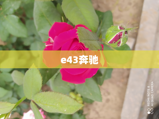 e43奔驰