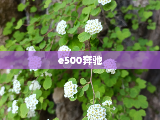 e500奔驰