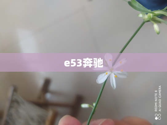 e53奔驰