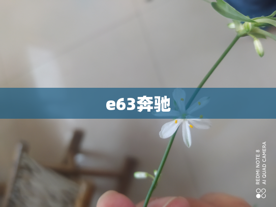 e63奔驰
