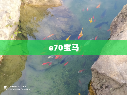 e70宝马