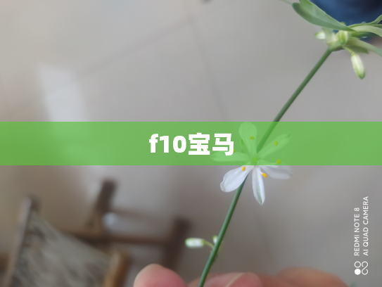 f10宝马