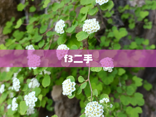 f3二手