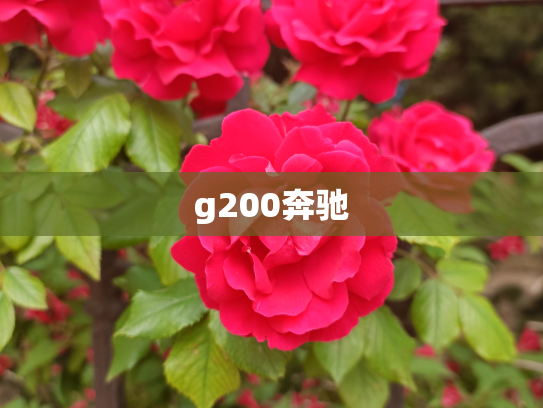 g200奔驰
