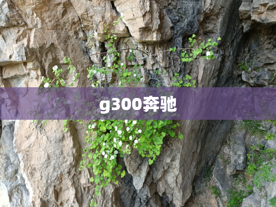 g300奔驰