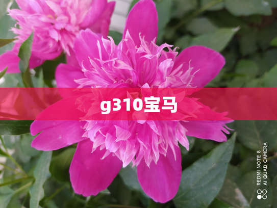 g310宝马