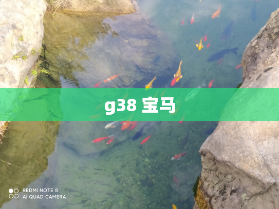 g38 宝马