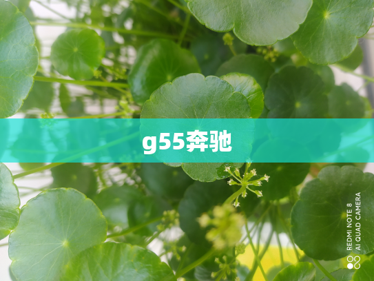 g55奔驰