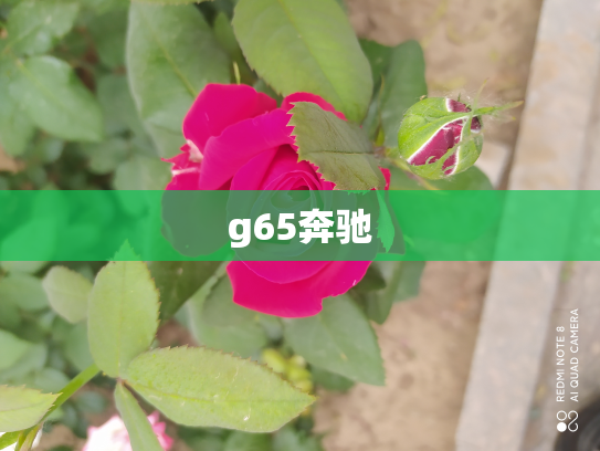 g65奔驰
