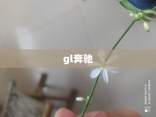 gl奔驰