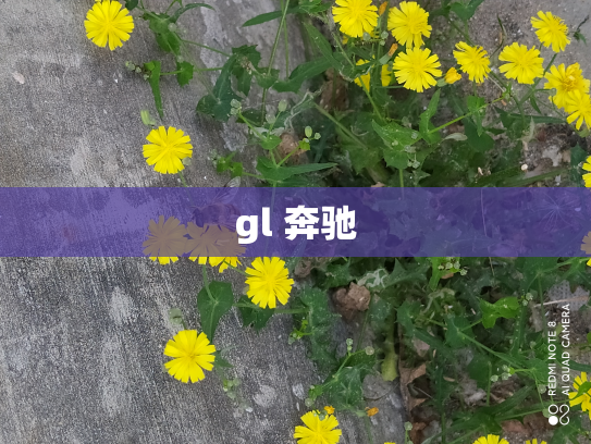 gl 奔驰