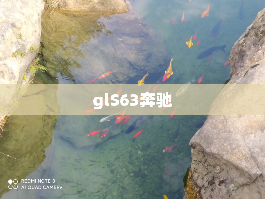 glS63奔驰