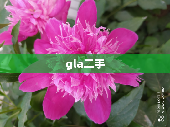 gla二手