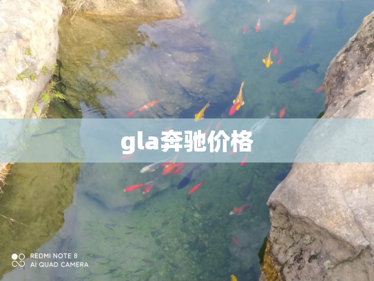gla奔驰价格