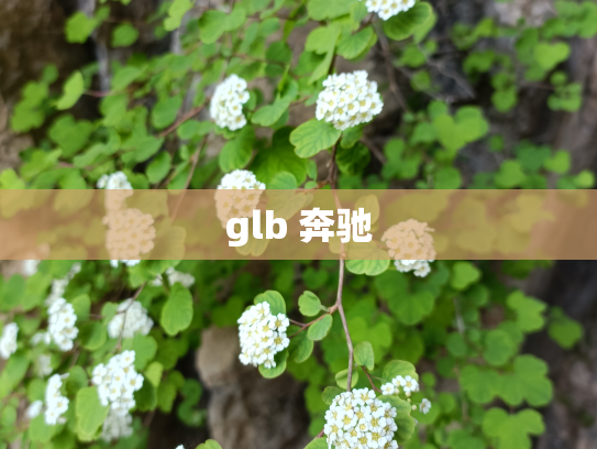glb 奔驰