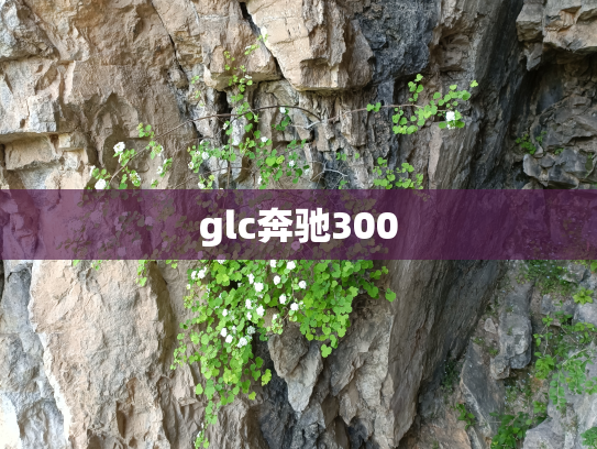 glc奔驰300