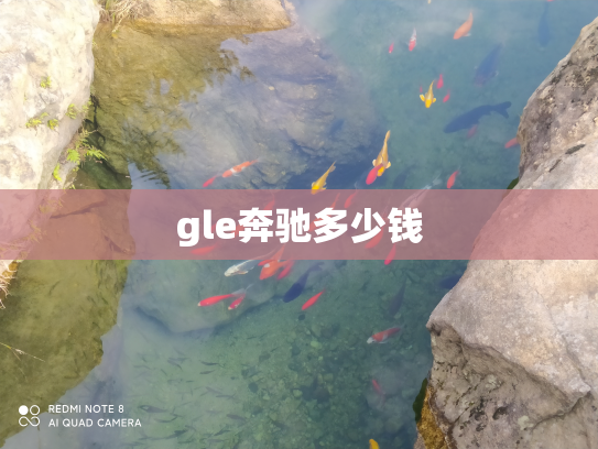 gle奔驰多少钱