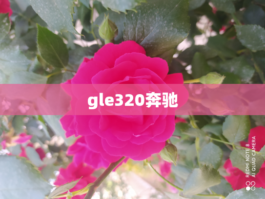 gle320奔驰