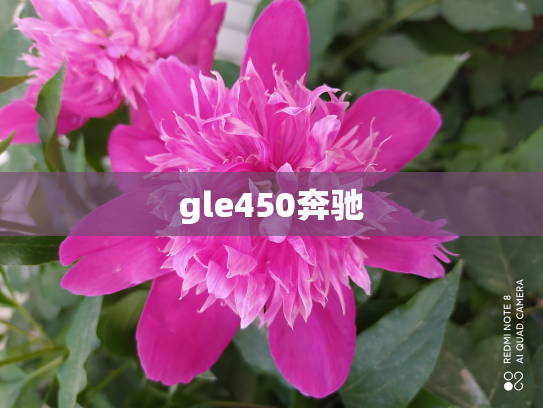 gle450奔驰