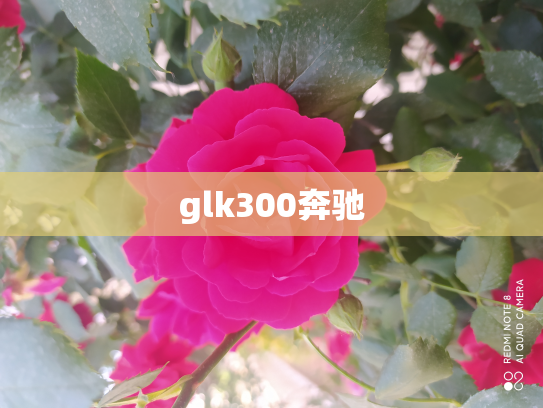 glk300奔驰