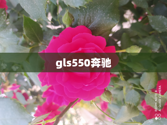 gls550奔驰