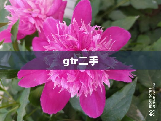 gtr二手