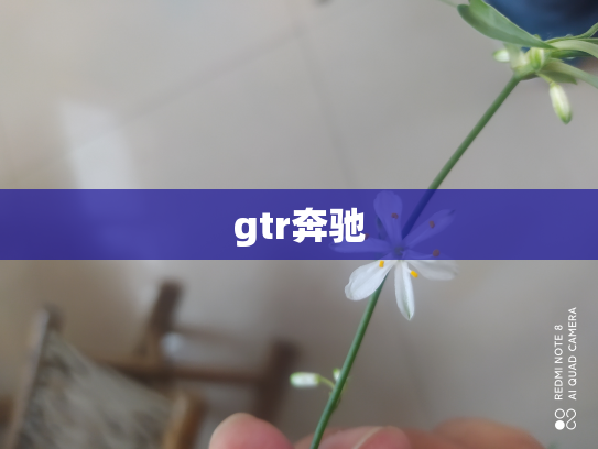 gtr奔驰