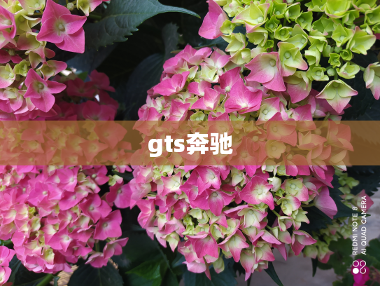 gts奔驰