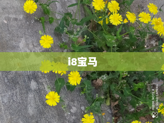 i8宝马