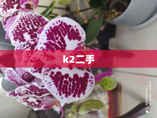 k2二手