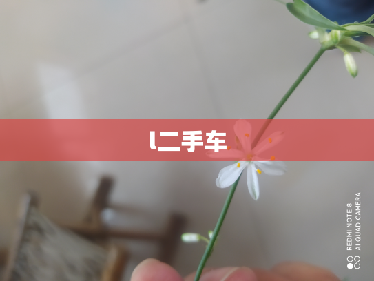 l二手车