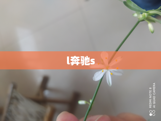 l奔驰s
