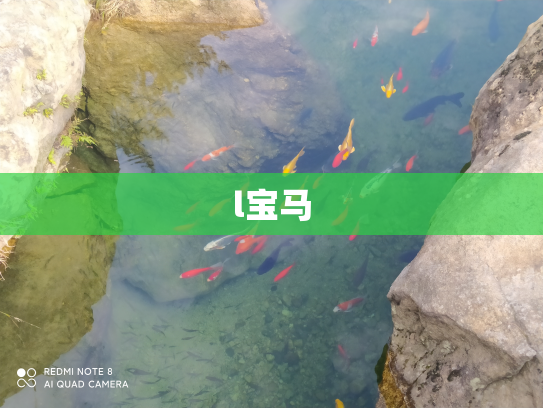 l宝马