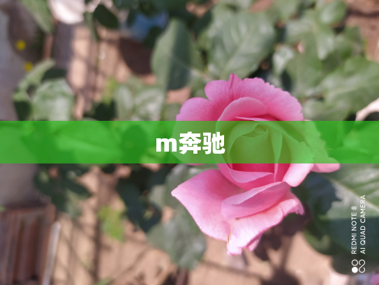 m奔驰
